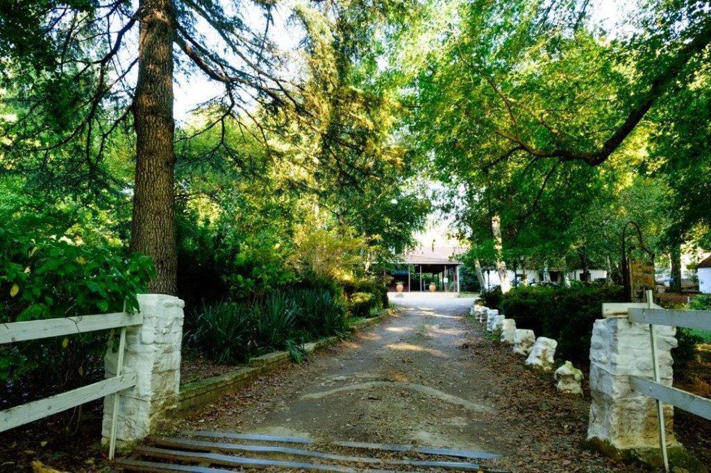 Kings Lodge Hotel ฮอกส์แบ็ค ภายนอก รูปภาพ